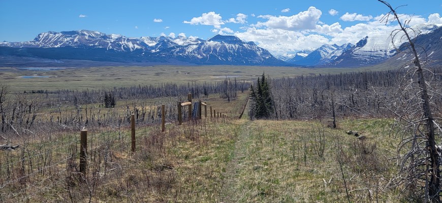 North park boundary fence line