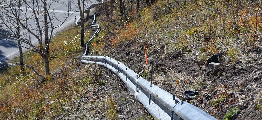 Salamander fence above Entrance Road