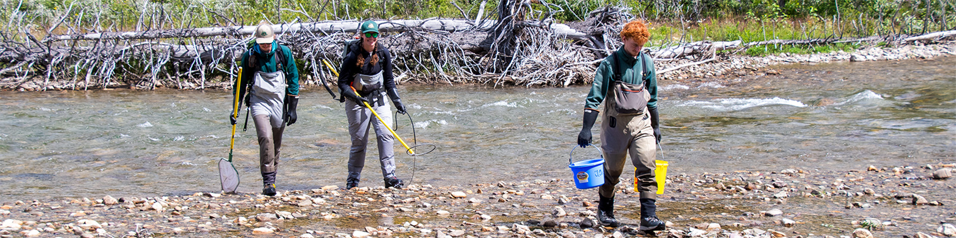 Trois employés de Parcs Canada traversent une rivière à pied