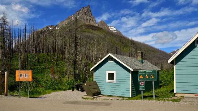 A green day use shelter is seen in front of a post-burn area and Blakiston Peak