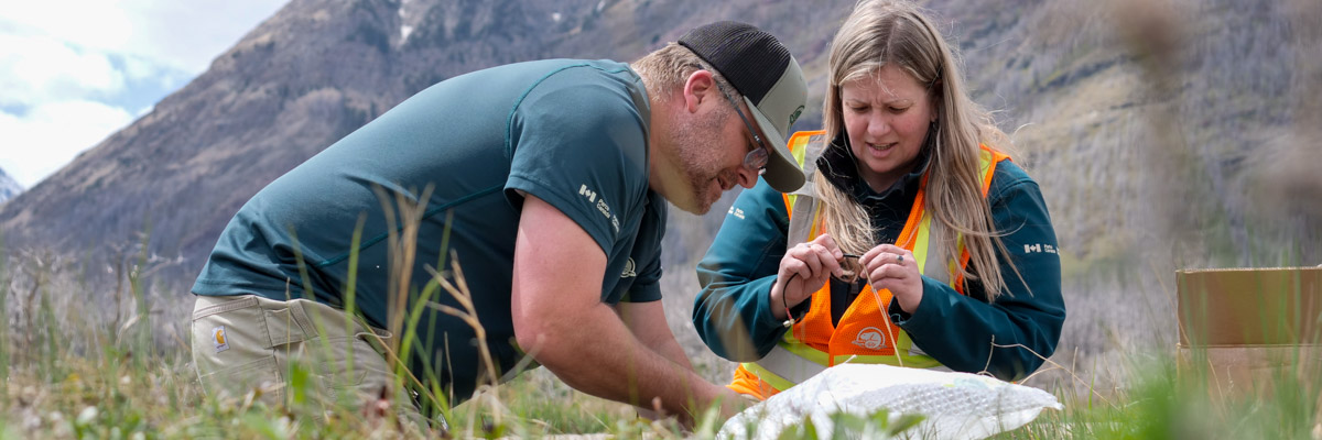 Two Parks Canada employees performing maintenance on traffic counters