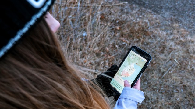 A visitor uses their cell phone to check a map-based tool in the park