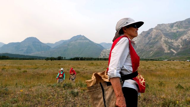 A volunteer participant looks out across the alluvial fan with other volunteers collecting seeds in the background