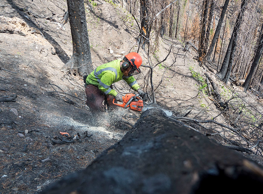 A trail crew member using a chainsaw