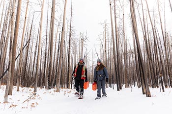 Scientists collecting samples in the winter