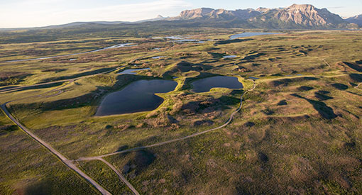 Vue aérienne de la route de la boucle de l’enclos des bisons dans le parc national des Lacs-Waterton