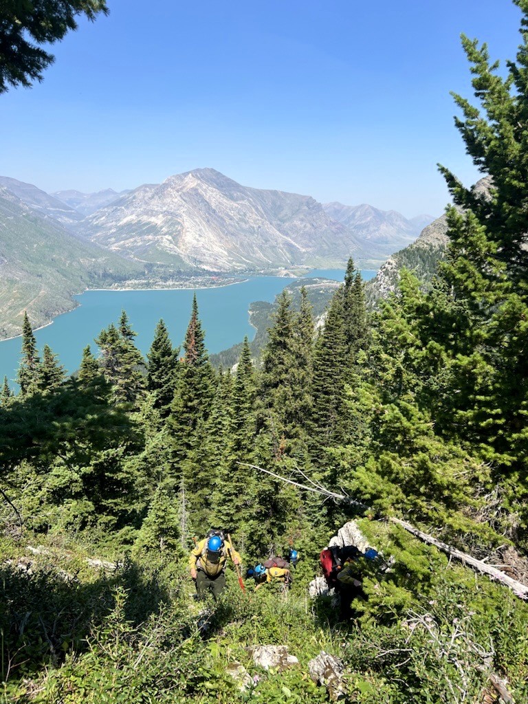 Fire crews on Mount Boswell