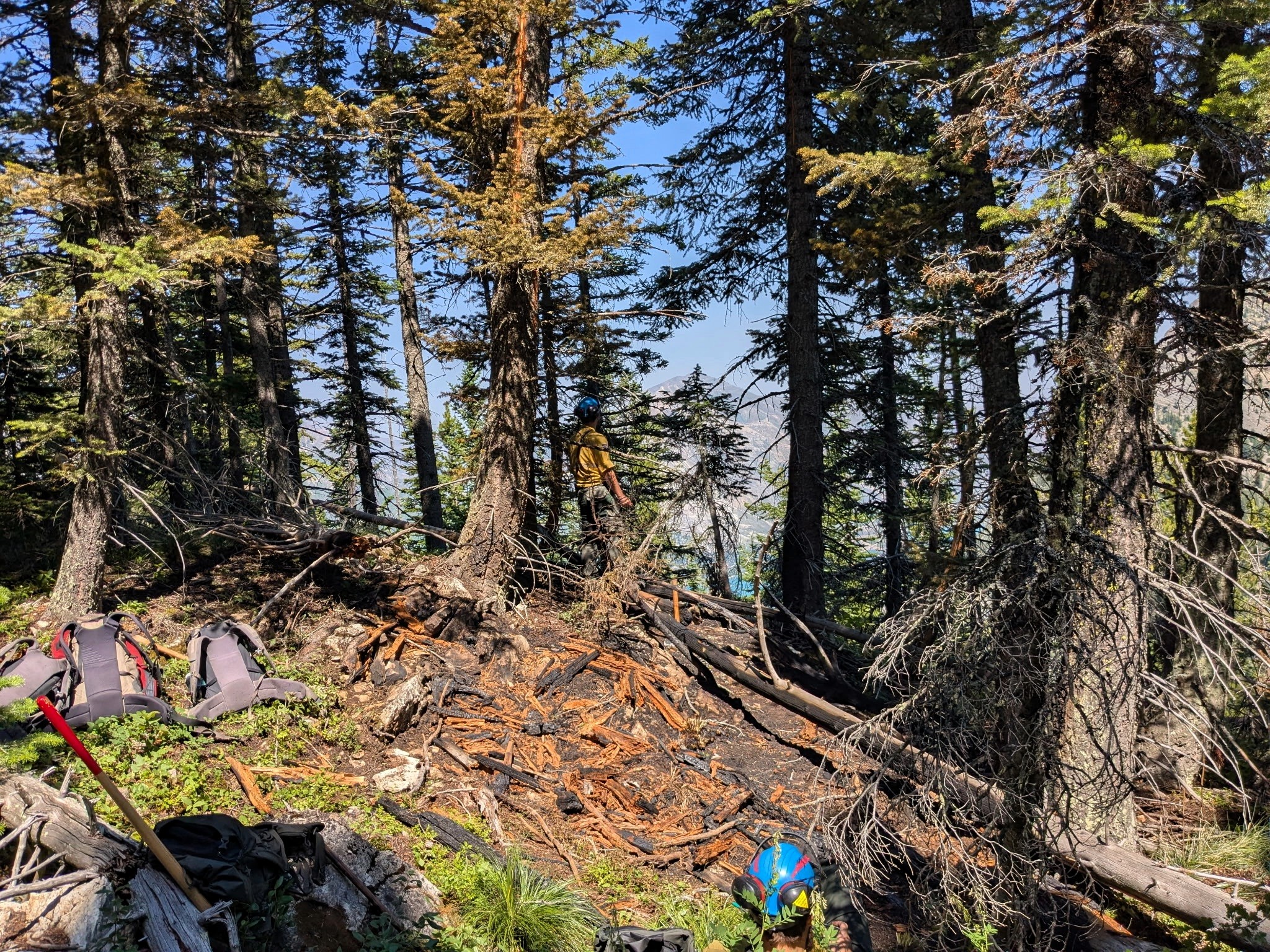 Wildfire perimeter showing burnt fuels after being extinguished