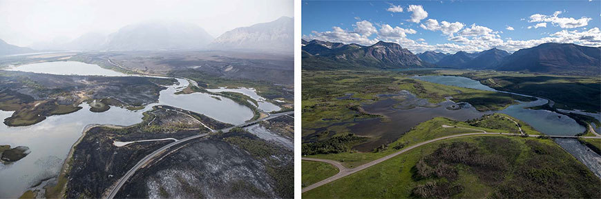 Side-by-side comparison photos from September 2017 and June 2018: Maskinonge.