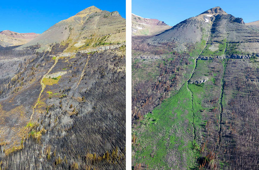Side-by-side comparison photos from September 2017 and June 2018: Lost Mountain avalanche path.