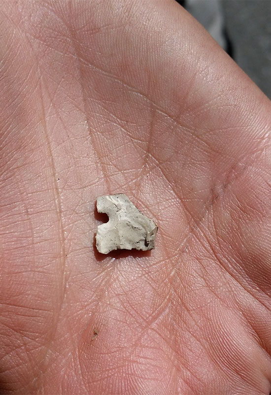 A piece of arrowhead
