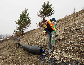 A person is doing maintenance to a low wildlife fence