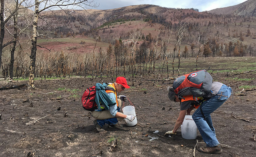 Volunteers picking up debris