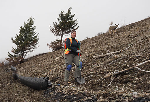 A Parks Canada staff member stands next to the destroyed salamander fencing