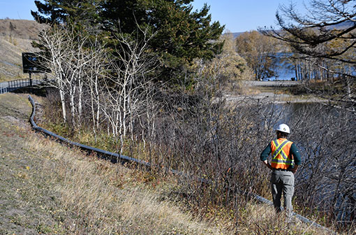 A Parks Canada project manager looks at the new salamander fencing