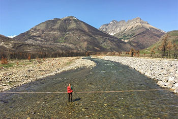 A technician stands in a stream