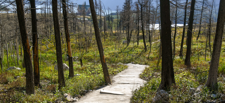 Bear's Hump trail