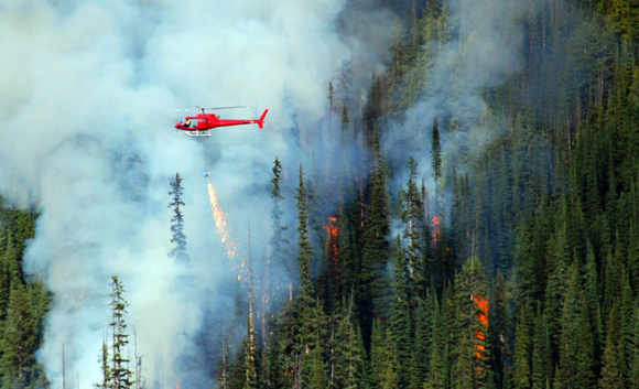 Grizzly Ridge Fire Burnout