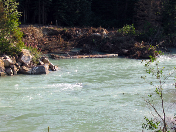 Bio-Engineering the Beaver River