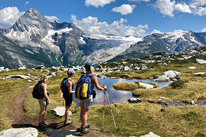 Three hikers in an alpine meadow