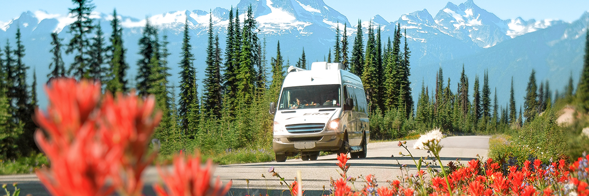 Van driving on an alpine road with mountains in the background and wildflowers in the foreground