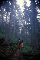 Hikers in the rain