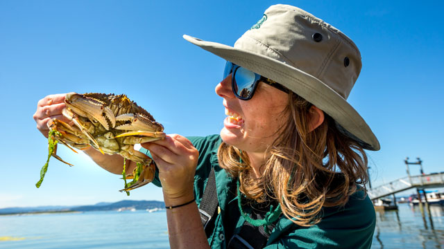 bc gulf islands tourism