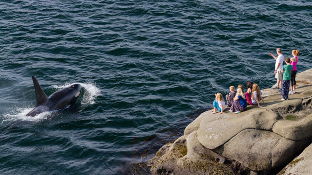 bc gulf islands tourism