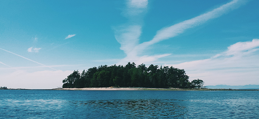 L’île Cabbage vue d’un bateau; on y trouve une plage de sable blanc et de grands arbres donnant un ombrage rafraîchissant