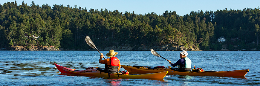 Two kayakers paddle