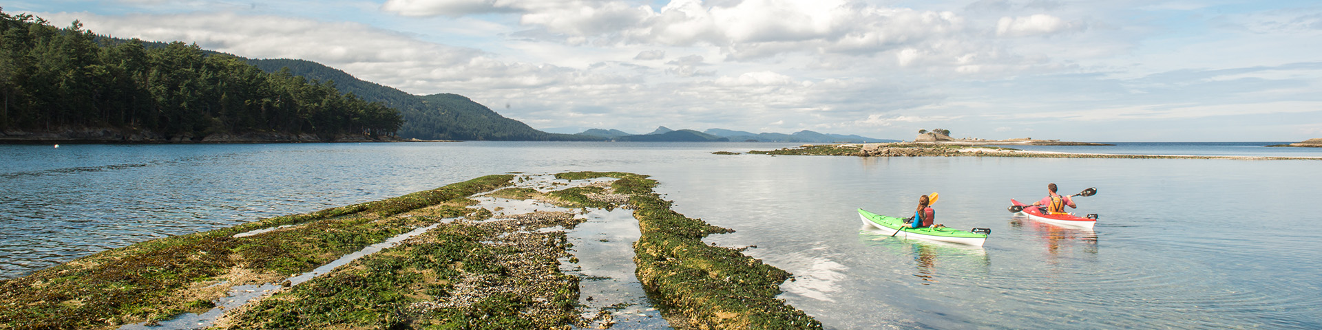 Two kayakers paddle the sheltered waters near Cabbage Island. 
