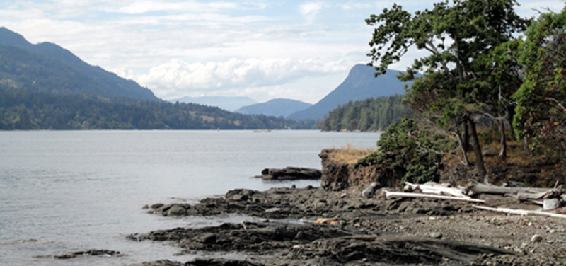 Le rivage paisible de l’île Russell