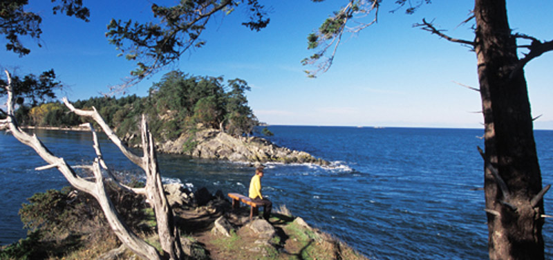 Winter Cove on Saturna Island