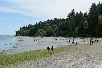 Les jeunes se promènent sur la plage au port de Fulford.