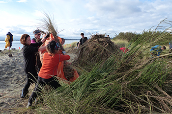 Three people using a plastic tarp to load invasive plants into a pile.