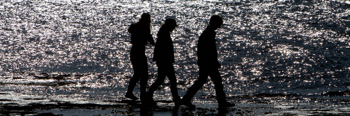 un groupe de personne marche sur une plage.