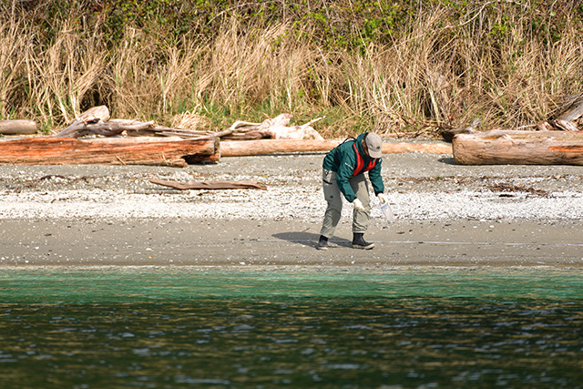 A person on a beach collects samples, with a measuring tape nearby and the sea in the foreground.