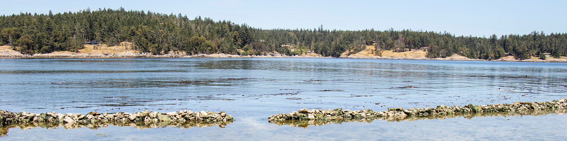 Des rochers dans l’intertidal, et une île en arrière-plan.