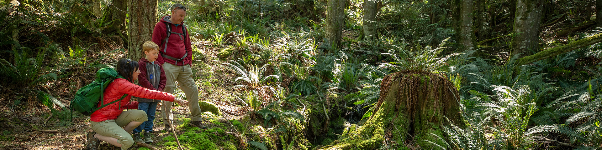 A family hikes the Lyall Creek Trail on Saturna Island.