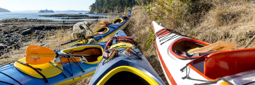 Kayaks pulled up onto the shore on Princess Margaret (Portland Island). 