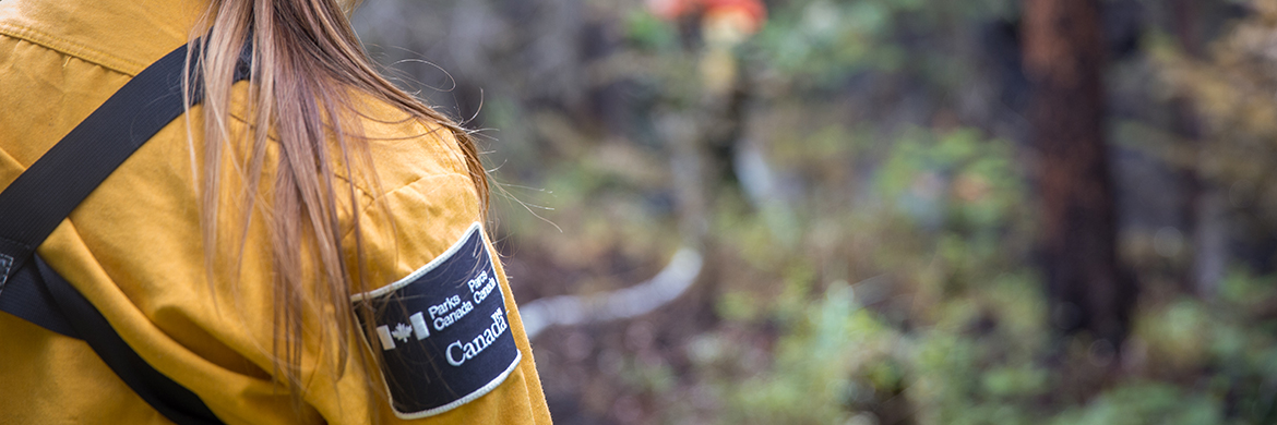 Back of a Parks Canada Firefighter with long hair in uniform. The uniform is yellow and has a Parks Canada badge on the upper arm.