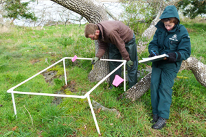 vegetation sampling plots