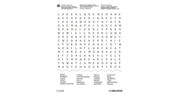 A Gwaii Haanas word search.