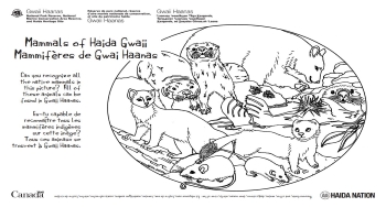 Ours, loutres de mer, hirondelles de rivage, rat et musaraigne dessinés à la main.