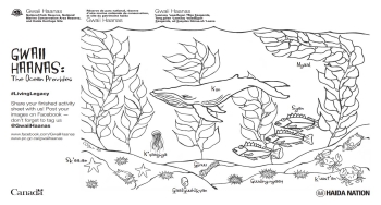 Hand drawn kelp forest with humpback whale, rock fish, jellyfish, crabs, sea urchin, abalone, and starfish.
