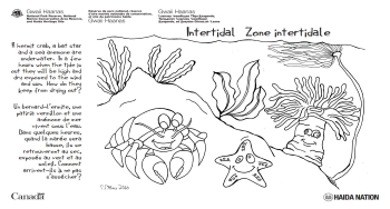 Hand drawn smiling hermit crab, starfish, and anemone in kelp forest.