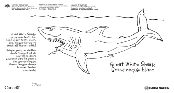 one large hand drawn great white shark. 