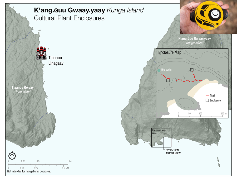 Map of the cultural plant enclosures on Kunga island and the yellow trail markers .