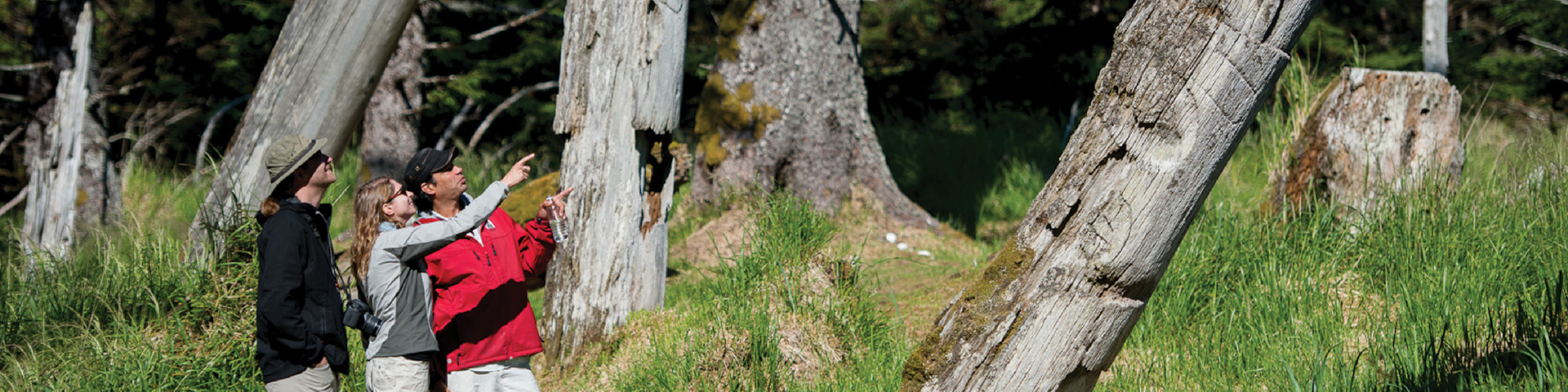 Watchmen guides visitors in the wood