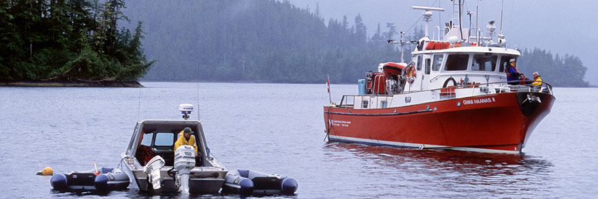 boats in the water